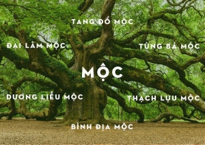 Chọn tranh phong thủy cho người mệnh mộc rước Tài Lộc, Sức Khỏe vào nhà.
