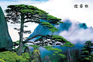 Tranh Dán Tường Sơn Thủy - ST100